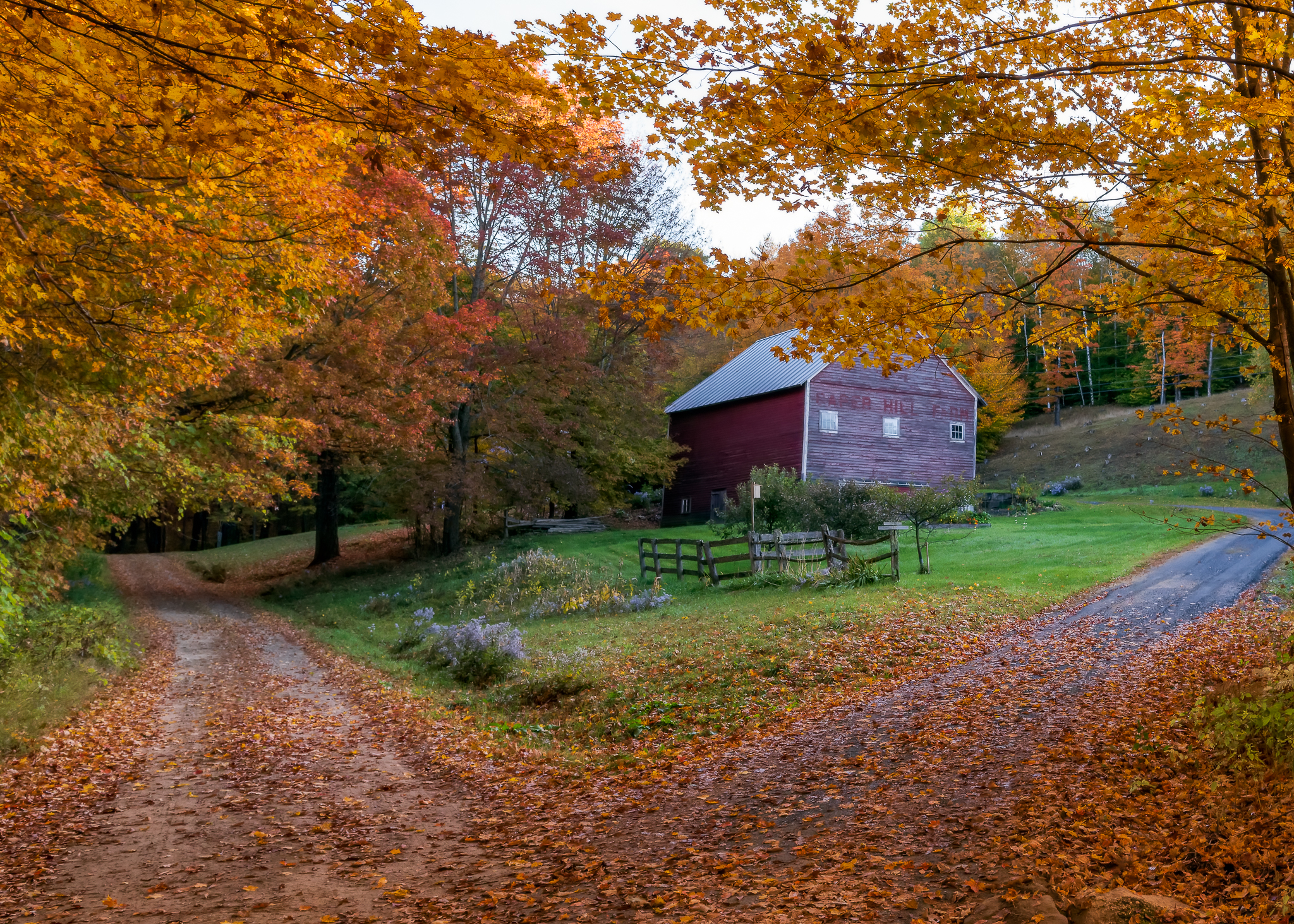 NEW-SCENIC-CaperHillFarm.jpg