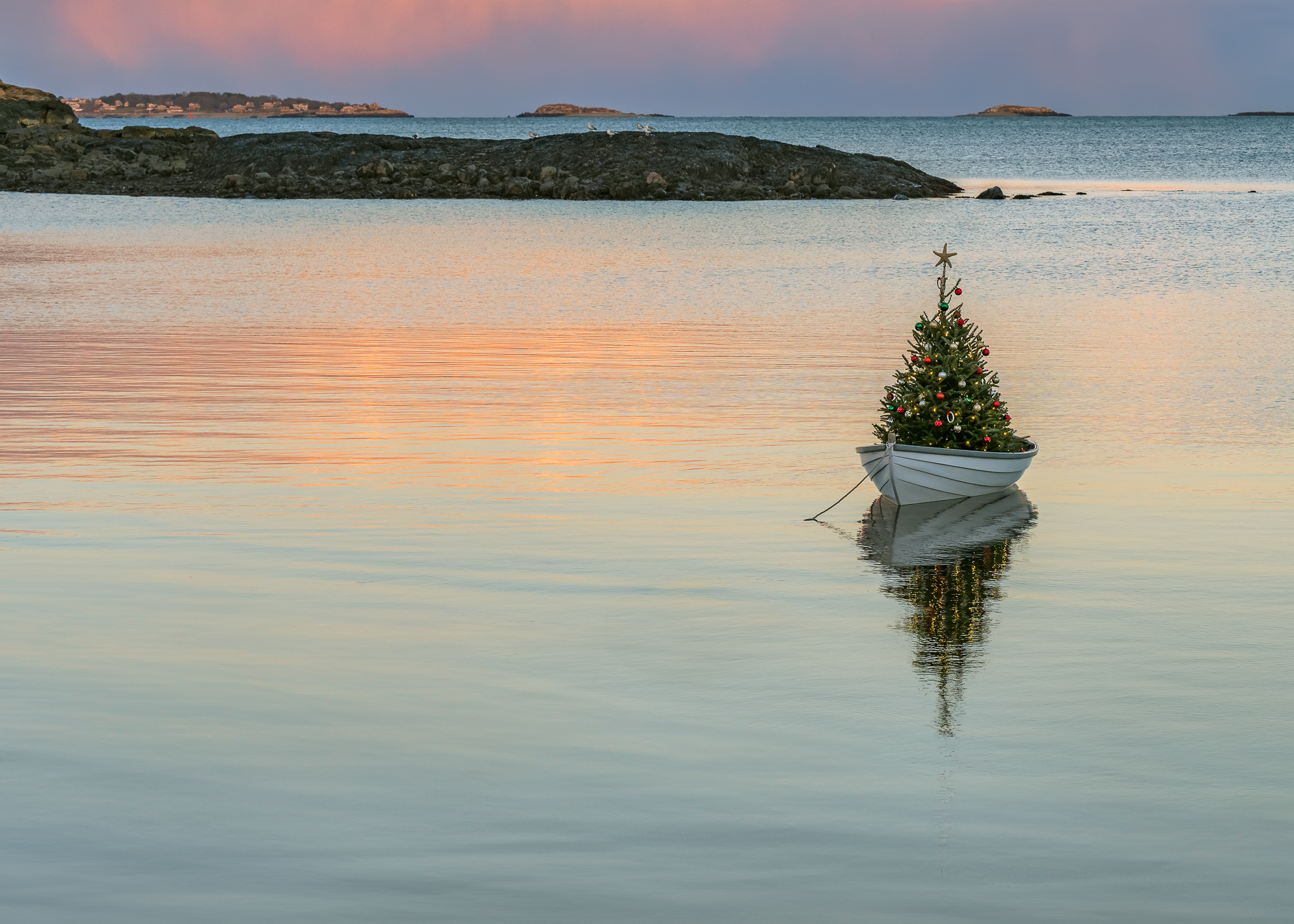 NEW-SCENIC-ChristmasTreeBoatWithMessage.jpg