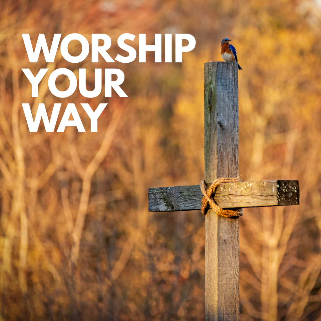 bird on outdoor cross
